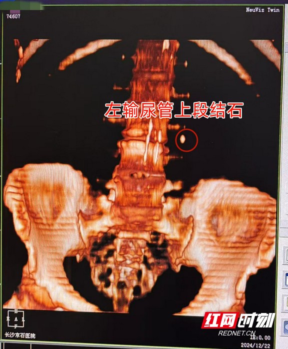 图片5.wm.jpg