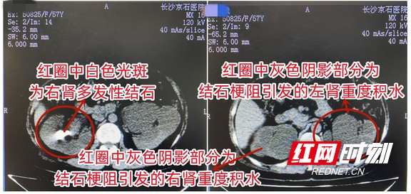 图片2.wm.jpg