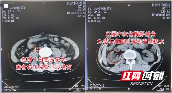 图片1.wm.jpg