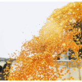 中国粮食库存充足数量真实可靠 饭碗牢牢端在手中