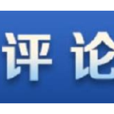 充分发挥制度优势，加快创新经济治理