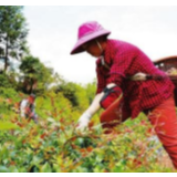 湘融湘爱·湖南行动丨省农业农村厅：守护农民“三权”，兴旺湖南“三农”