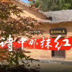 Vlog·诗中那抹红丨长征第一英雄汉 三十四师陈树湘