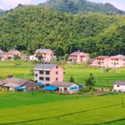 @全网，“光影湘村”湖南省微电影大赛喊你来投票！