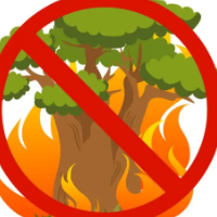 湖南：森林火险双预警齐发 提前开启秋冬季森林防火模式