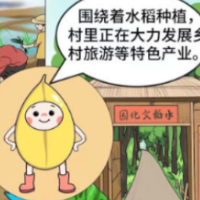 创意漫画丨一粒种子的旅行