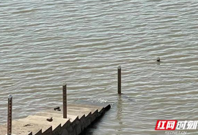 洞庭湖控制站城陵矶实测水位21.06米 为去年10月以来首次超过21米