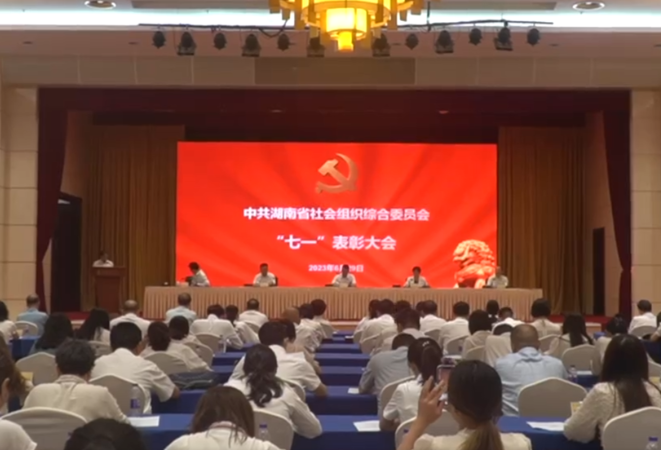 湖南省社会组织综合党委召开“七一”表彰大会