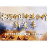 书写中国中亚合作新篇章——习近平主席出席第二届中国－中亚峰会纪实