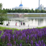 汇聚共进力量 托举共同繁荣