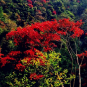 平江县生态产品价值实现机制优化路径探析