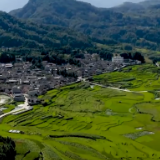 总书记走进百姓家|让幸福的司莫拉更加幸福