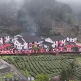 情满中国年丨绘就宜居宜业和美乡村新画卷