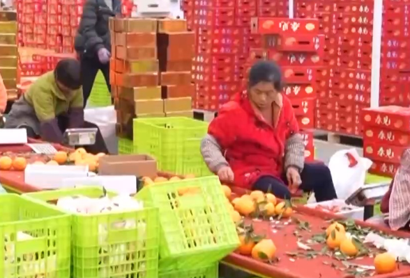 新规实施！如何为食品直播带货拧紧“安全阀”？专家解读