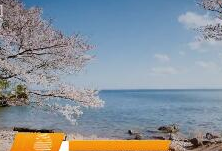 守护一江碧水 推动绿色发展 域外视野：日本琵琶湖蜕变的启示