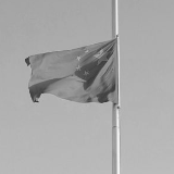 新华社评论员:哀思中,凝聚慨然前行的力量