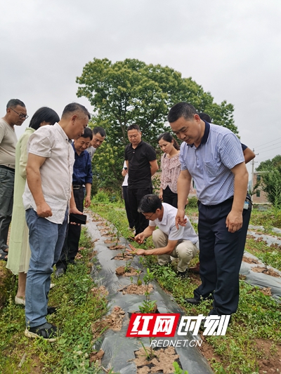 微信图片_20200513113745_副本.jpg