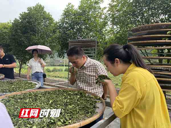 微信图片_20210916154822_副本.jpg