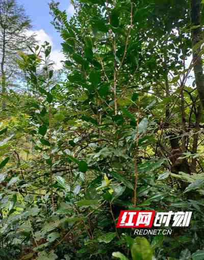 微信图片_20210908103418_副本.jpg