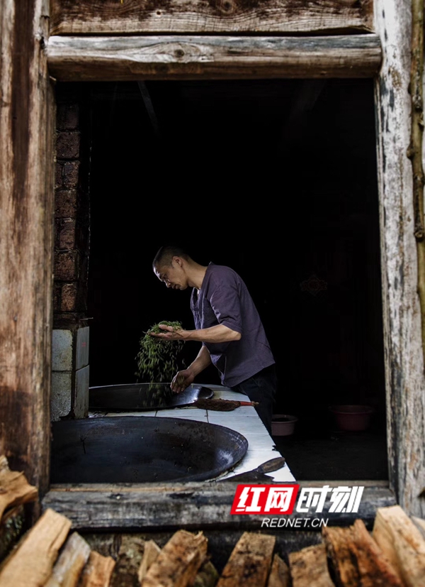 伍学峰说：“从小周围的人都会炒茶，现在工艺精进了，茶的品质也更高了。我也有颗成为大师的心。”