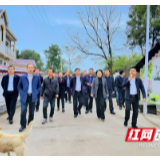 全州建设美丽湘西工作现场推进会走进泸溪浦市镇五果溜村