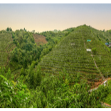 吉首市公安局:强化廉洁意识筑牢忠诚警魂
