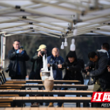 神秘湘西过大年丨龙山摄影家协会采风八面山助推全域旅游