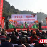 小溪椪柑香飘四方 永顺县小溪镇柑橘开园节活动