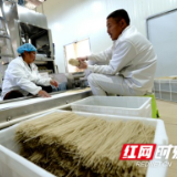 永顺龙潭：薯类种出新“薯光”