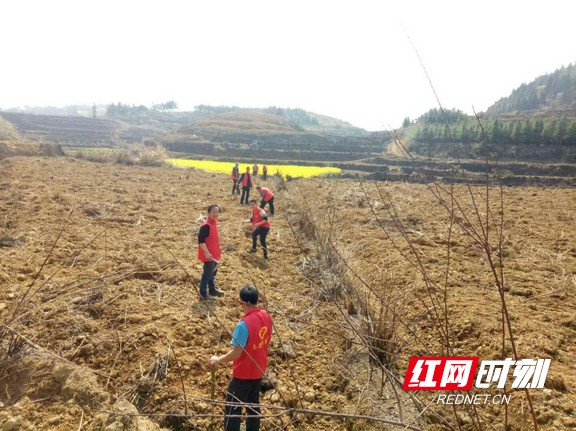 图片2.marked.jpg 图片2.marked.jpg