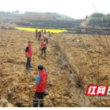 凤凰小黄土村:党建引领产业发展 助推兜底户增收