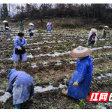 守望相助奔小康——花垣县推进“党建引领、互助五兴”农村基层治理模式工作综述