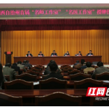 湘西州举行首届“名师工作室”“名医工作室”授牌仪式   13名专家入选