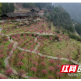 湘西：美丽乡村的“洞坎实践”