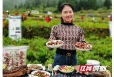 永顺：大力培育本土网红拉动“云端”经济