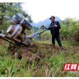 组图丨永顺合兴村：同心合力兴产业
