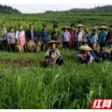“一村一商标”：让“藏在深闺”中的湘西农产品走出大山