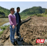 湘西州农业农村局检查指导花垣县稻田养鱼项目