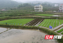 湘西：“五强化五着力”稳定发展粮食生产