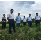 济南水发集团到古丈县考察文化旅游产业和农业产业