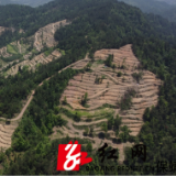 保靖柳树坪村：盘活村级集体经济 激活脱贫攻坚动力
