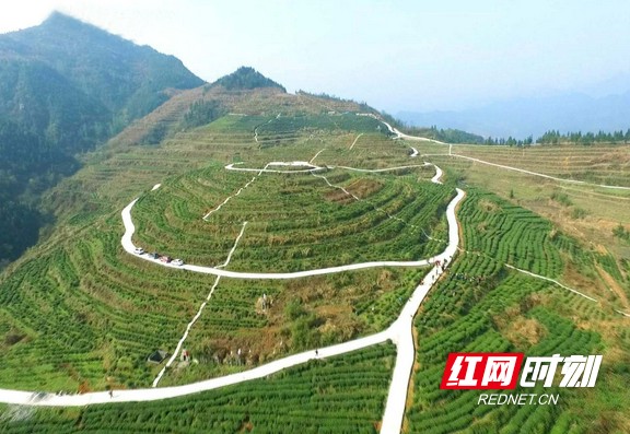 图片1.marked.jpg