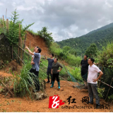 保靖：清除洪灾隐患 保障出行平安
