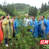 湘西州举办油茶栽培管理技术骨干培训班