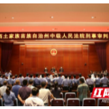 湘西:王仕勇、王仕海等15人涉黑案一审宣判