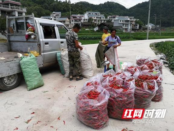 图片4.marked.jpg