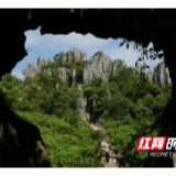 湘西世界地质公园十大美景评选丨洛塔园区—楠竹石林