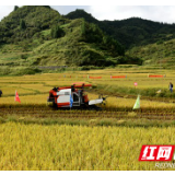 永顺：举办冬季农业开发暨水田深翻耕现场培训