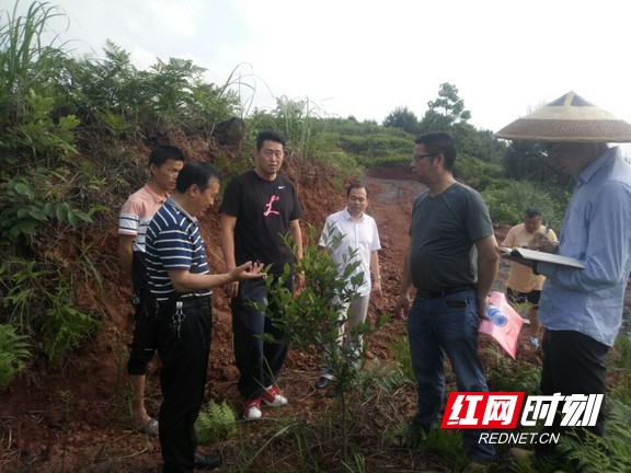 图片3.marked.jpg