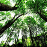 央视《走村直播看脱贫》 9月10日将走进保靖比耳村